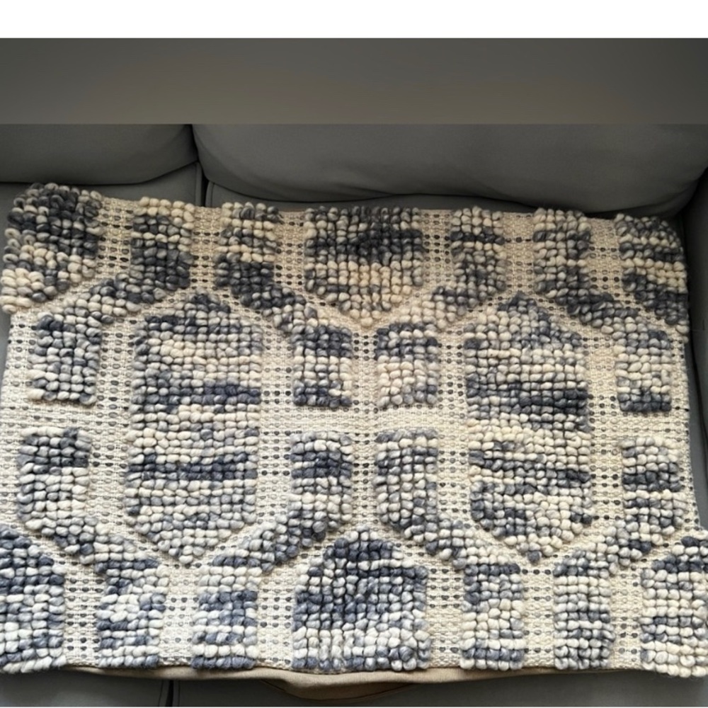 TWO Pottery Barn Atlee Pillow cover/ shams ( set of 2)